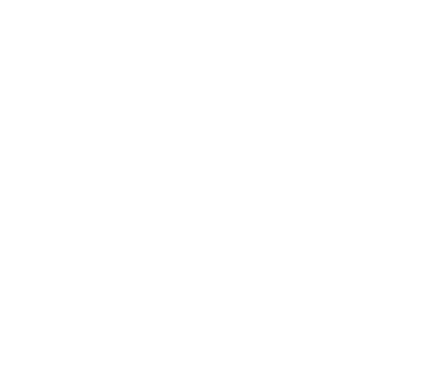 INARA GROUP